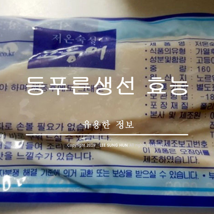  등 푸른 생선 고등어 효능 남녀노소 누구에게나 좋습니다.