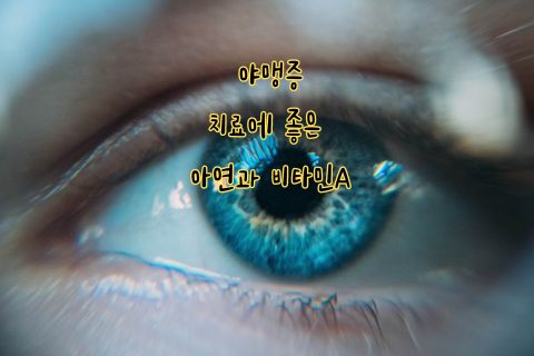 야맹증 치료에 좋은 아연과 비타민A