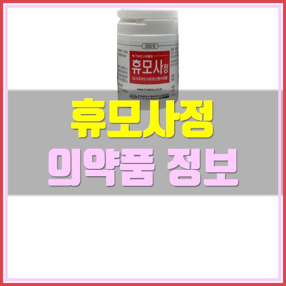  휴모사정 소화제 복용법