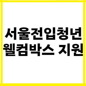 서울전입청년 웰컴박스-썸네일