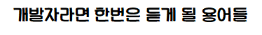  개발자라면 한번은 듣게 될 용어들