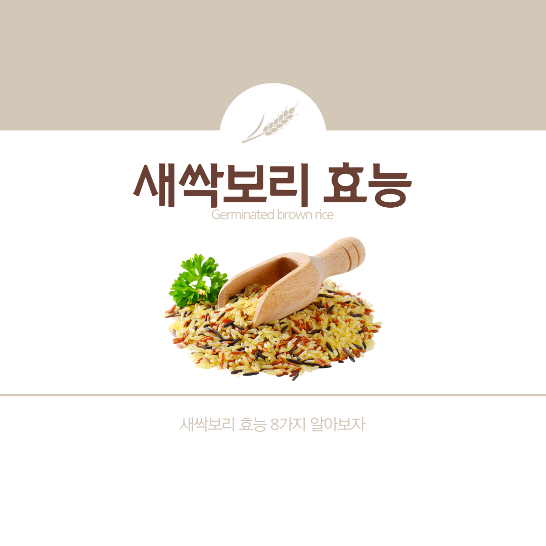  새싹보리 효능 알아보자