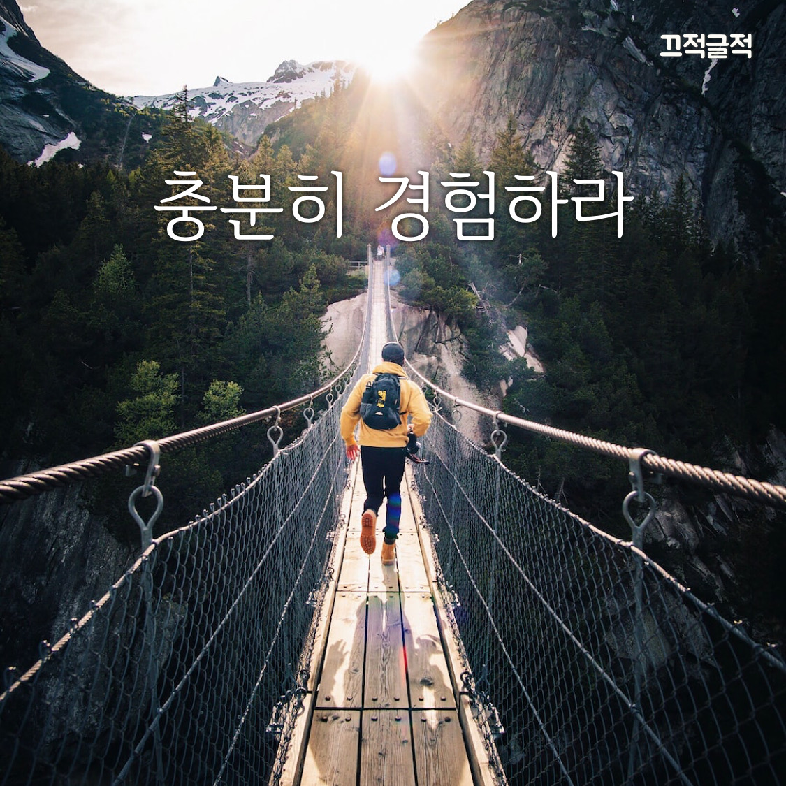  (동기 부여/명언/명언 모음/성공 마음/마음가짐/MINDSET/자기 계발) 인생이란 학교 동기 부여 명언 모티베이션 motivation letter