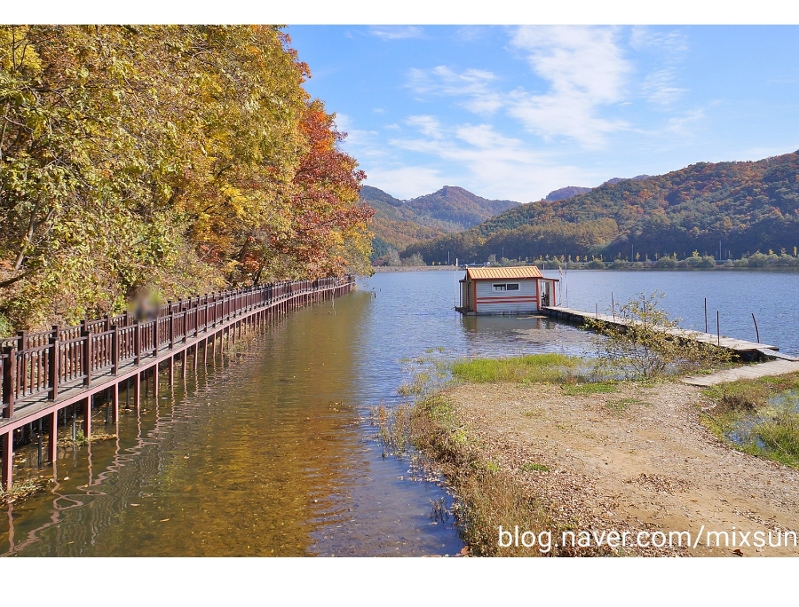 단풍구경 가볼만한 곳 괴산 가볼만한곳 3