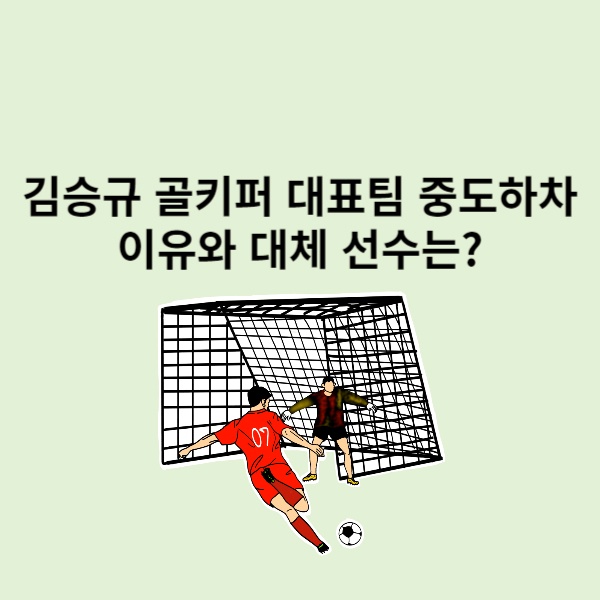  카타르 아시안컵 골키퍼 김승규 대표팀 중도하차 이유와 대체 선수는?