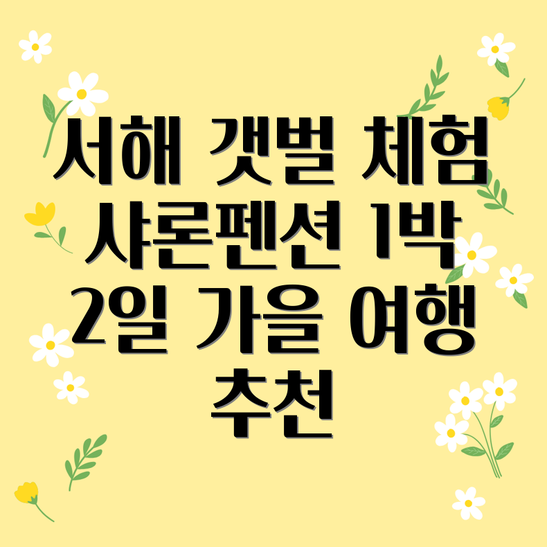 서해 갯벌 체험