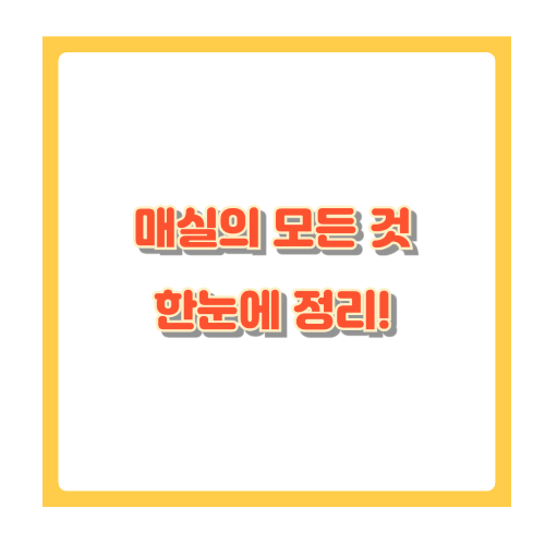 매실의 모든 것: 효능부터 레시피까지 한눈에 정리!
