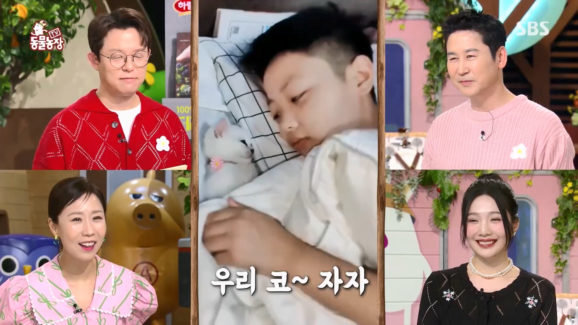 TV 동물농장.E1170.240505p.H264-F1RST.mp4_20240505_153754.560.jpg