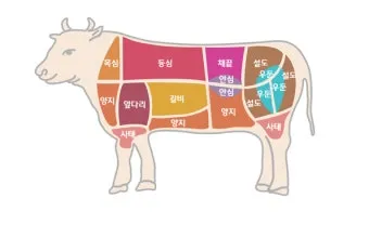 소고기 부위 가장 부드러운 순서대로 10선_14