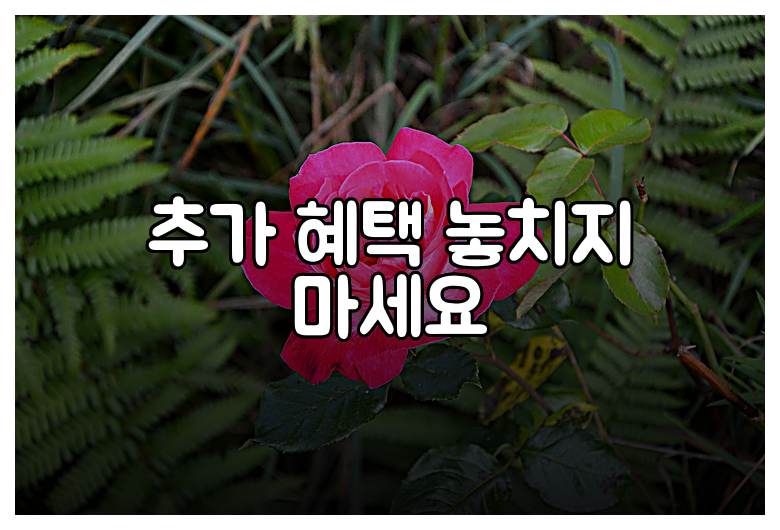 추가 혜택 놓치지 마세요