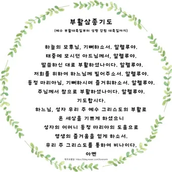 부활 삼종기도 일반 삼종기도 차이_12