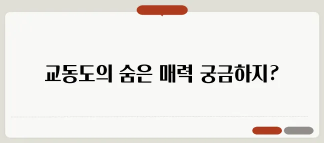 교동도 가볼만한 곳 숨은 명소 맛집 추천