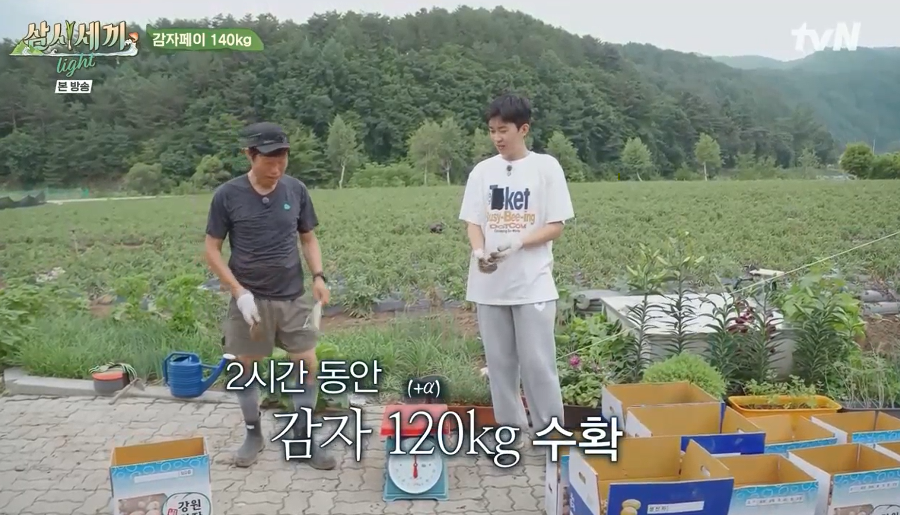 2시간동안-감자를-120kg이나-캔-세끼네-식구들