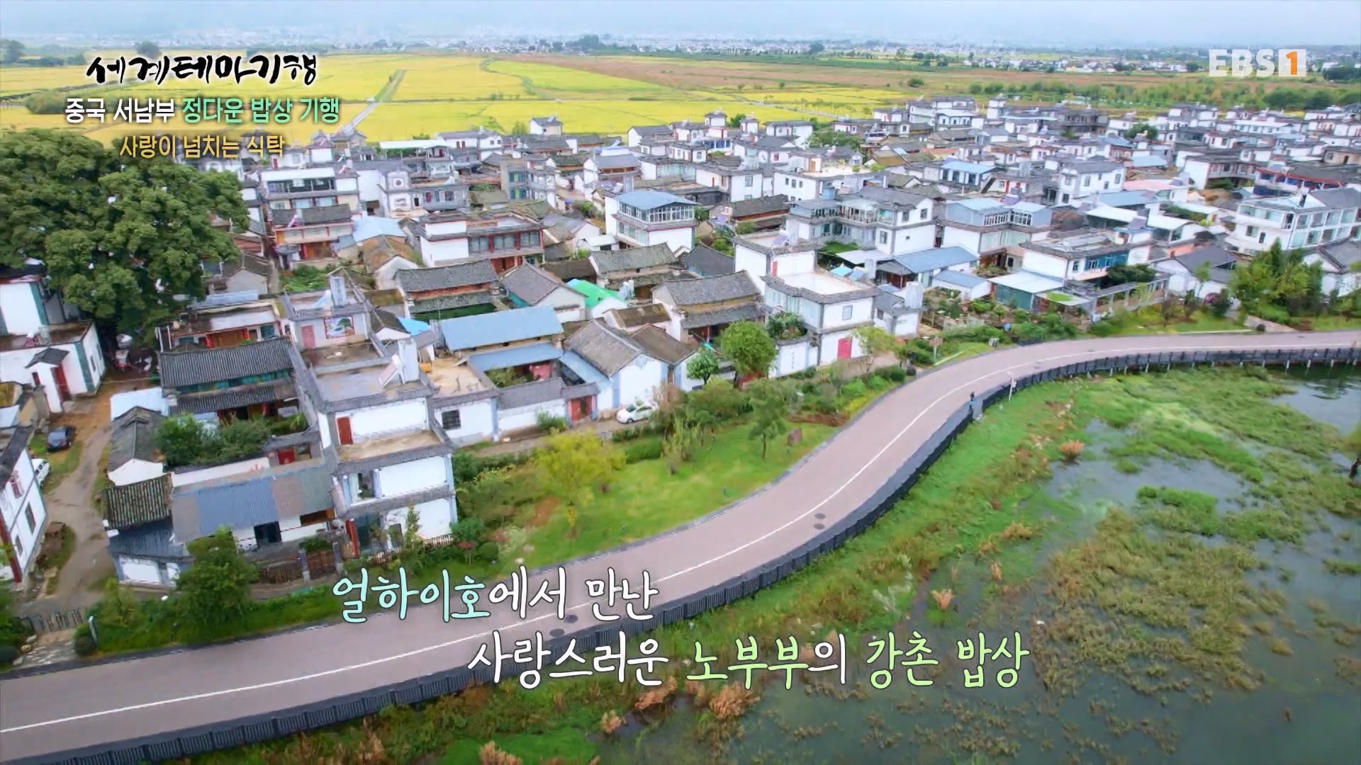세계테마기행 231128 중국 서남부 정다운 밥상 기행 -매운맛 좀 볼까요0p.mp4_20231201_213144.222.jpg
