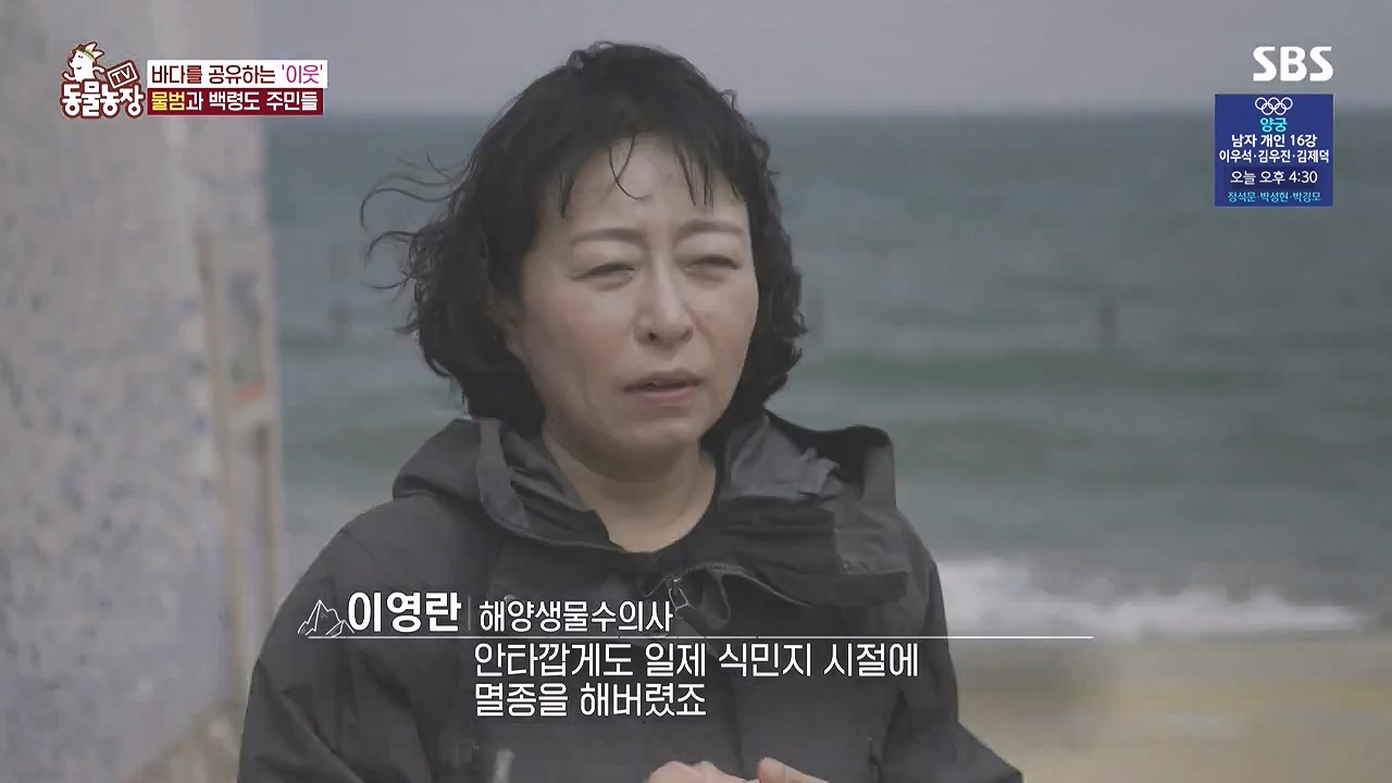TV 동물농장.E1183.240805p-NEXT.mp4_20240804_154440.955.jpg
