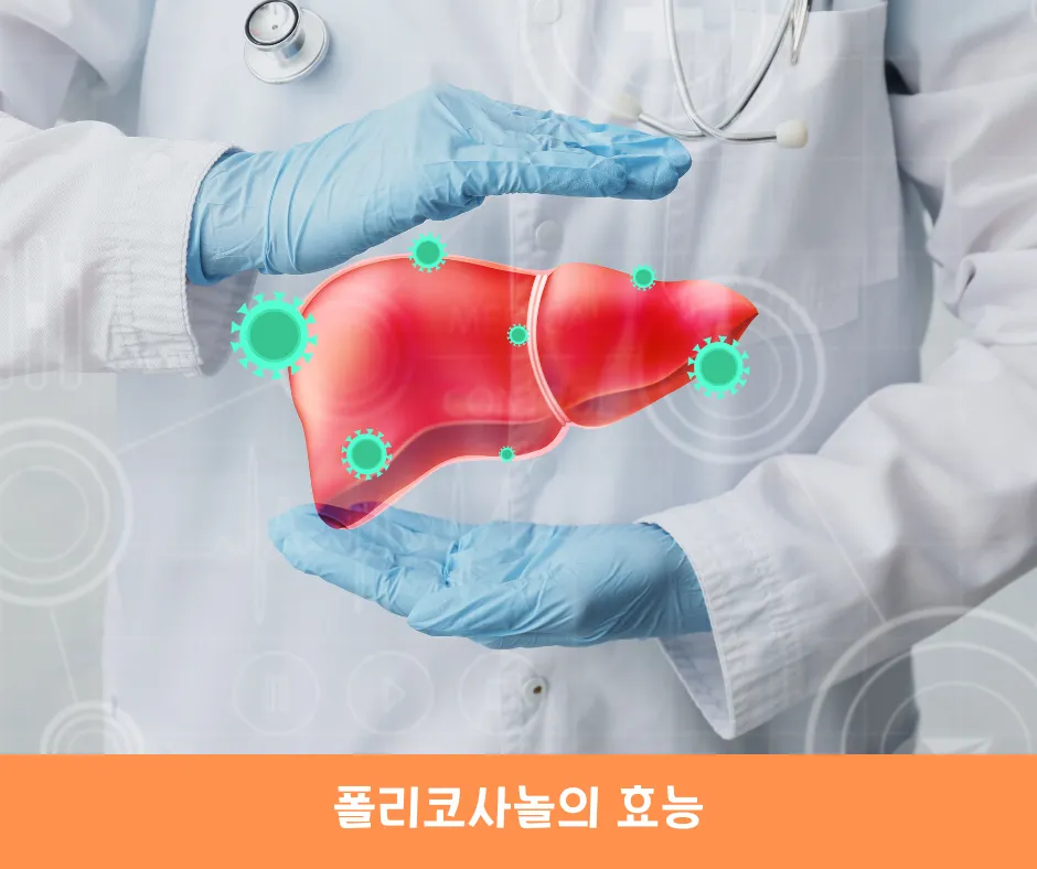 폴리코사놀의 효능