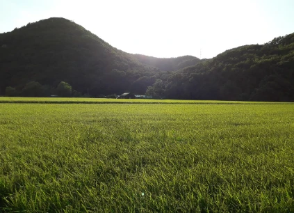공익직불금 의무교육 이수방법(온라인&amp;#44; 오프라인&amp;#44; 전화교육) 총정리