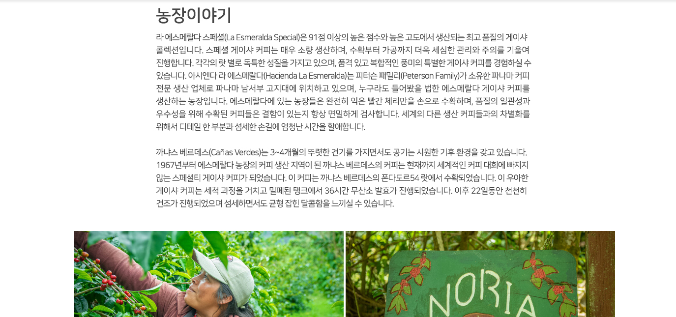 디코드커피 이미지