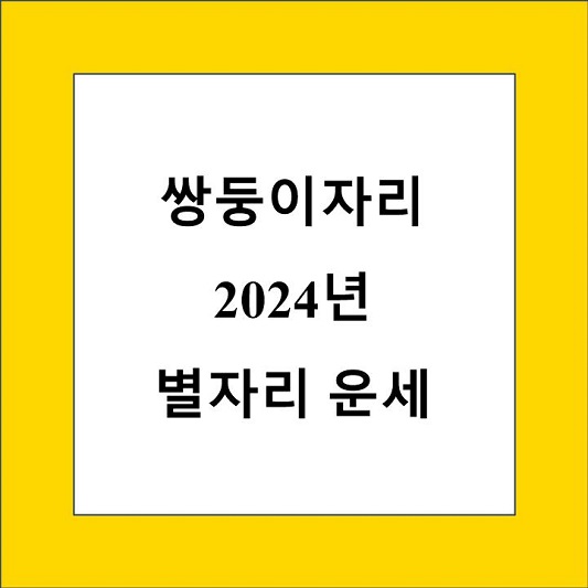 쌍둥이자리 2024년 운세 제목 상자