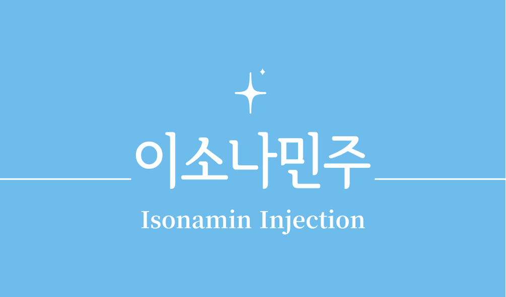 '이소나민주(Isonamin Injection)'