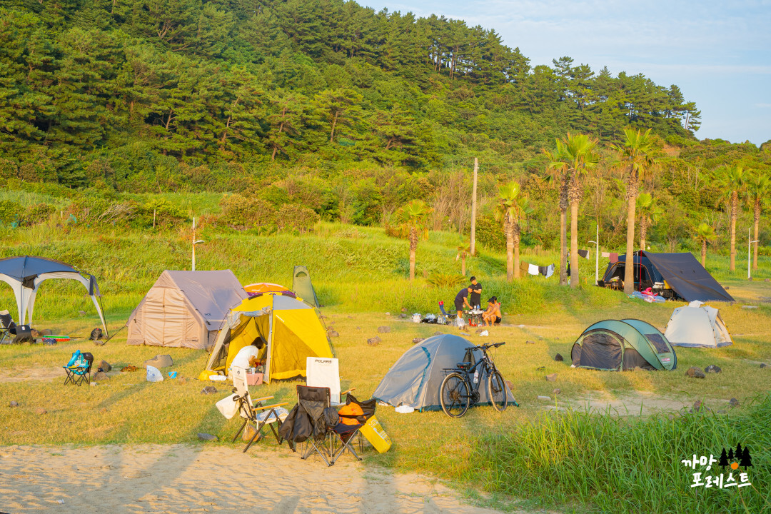 함덕 서우봉 캠핑존