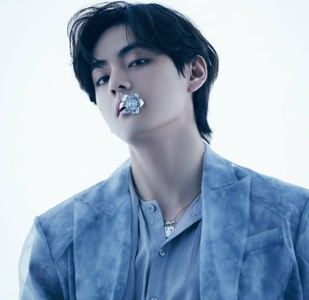 방탄소년단 뷔 (김태형&amp;#44; V)