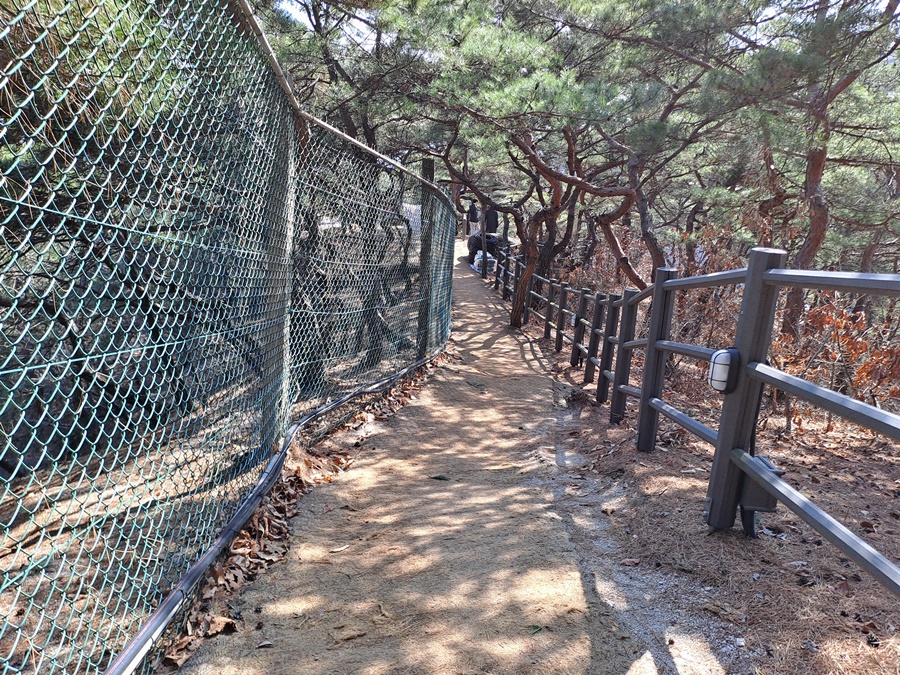 하산길-노송숲