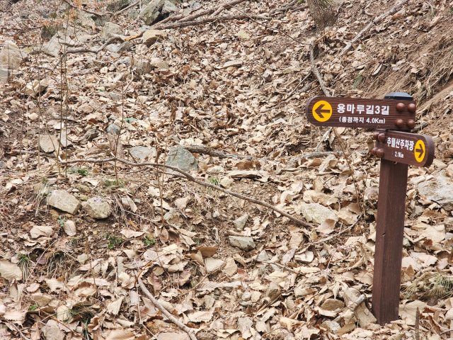 이정표