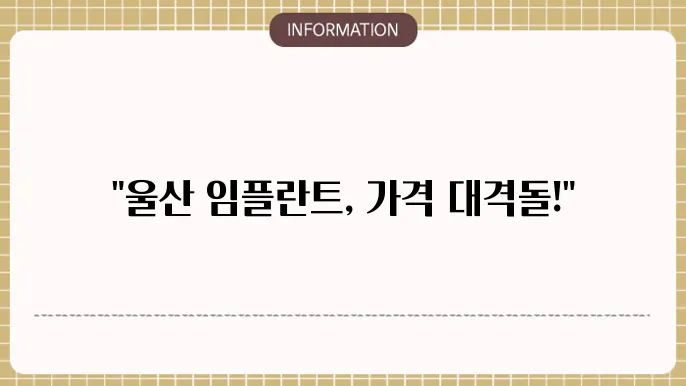 울산 임플란튷80킷 가격비교