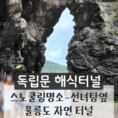 다온다투어 이미지