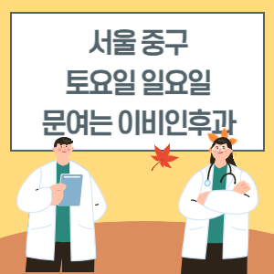 서울 중구 토요일 일요일 이비인후과 진료 병원 리스트