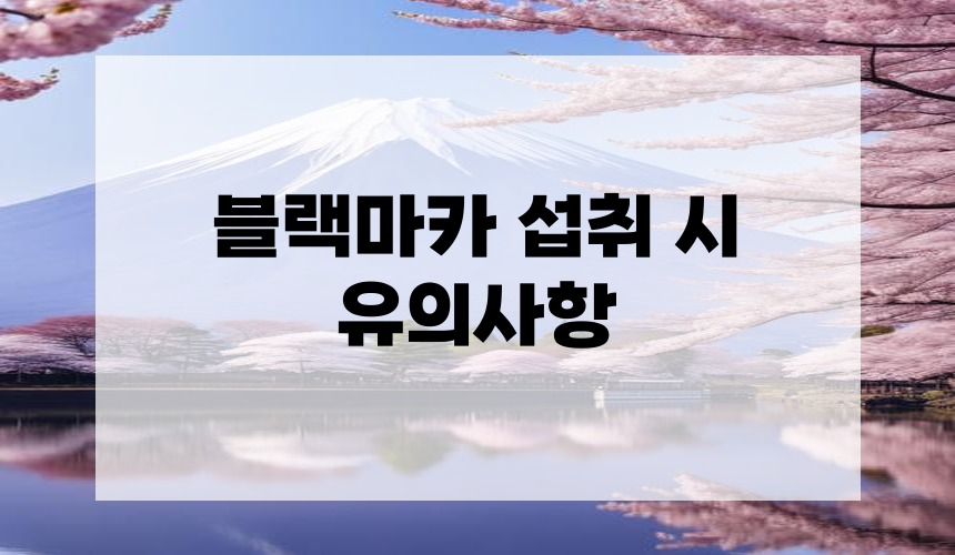 블랙마카 섭취 시 유의사항
