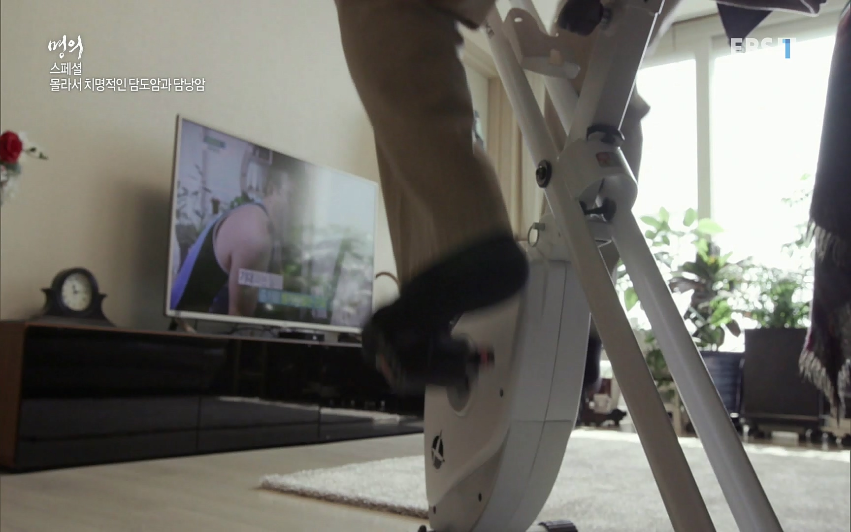 EBS 명의 헬스케어 - TV - 교육의 중심 EBS[명의 스페셜] 공포의 암, 췌장암, 담도암, 담낭암.mp4_20220902_210920.117.jpg