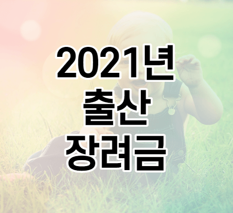  2021년 [출산장려금] [아동수당] [양육수당] 한방에 알아보자