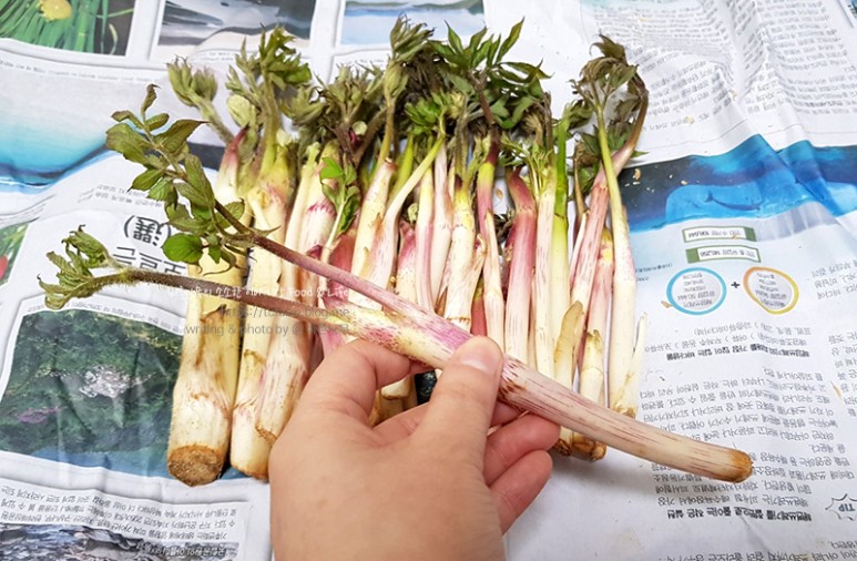 거창 대구 판매 손질 및 보관법 제철 봄나물 우도열매 - 2021년 3