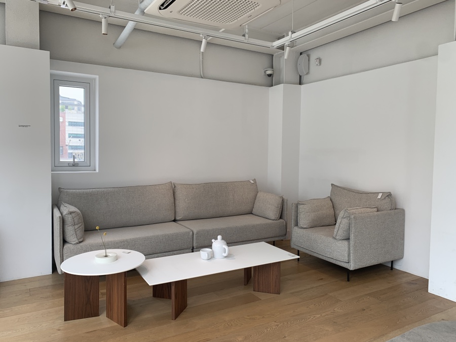 잭슨카멜레온, 플랜트란스 26