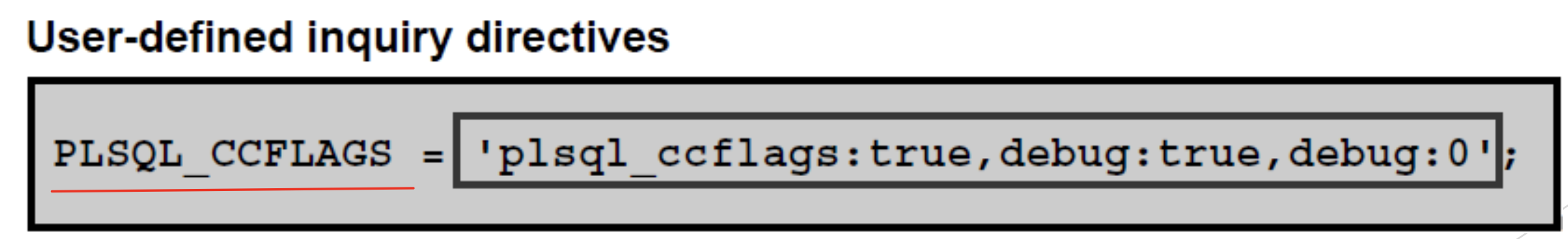 102 - [Oracle PL/SQL] Managing Code - plsql_ccflags