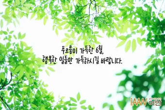 6월 인사말 모음집 이미지 문구 이미지 모음_2