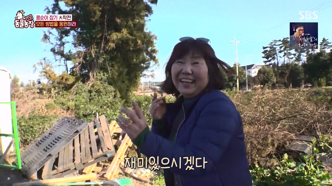 TV 동물농장.E1168.240422p-NEXT.mp4_20240421_170943.887.jpg