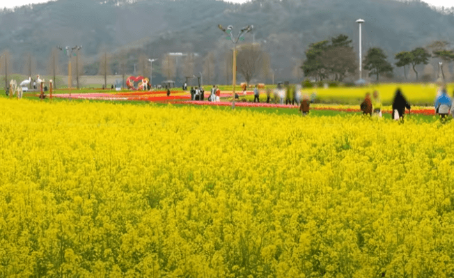 남지 체육공원