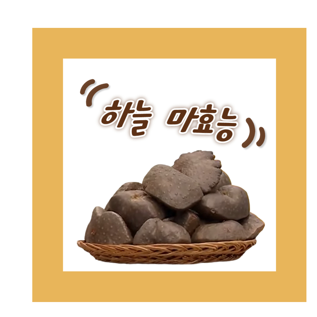  하늘마 효능과 이점 뼈 건강을 위한 비밀 별미