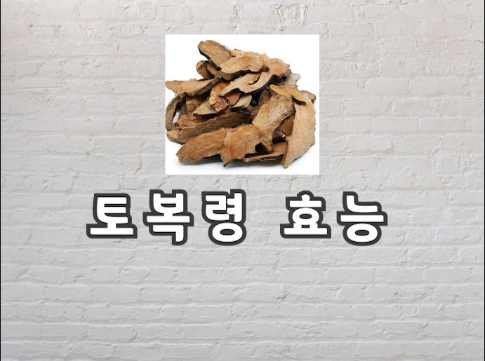  토복령 효능과 먹는법 부작용까지 총정리