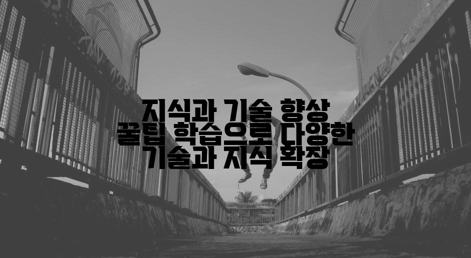 지식과 기술 향상 꿀팁 학습으로 다양한 기술과 지식 확장