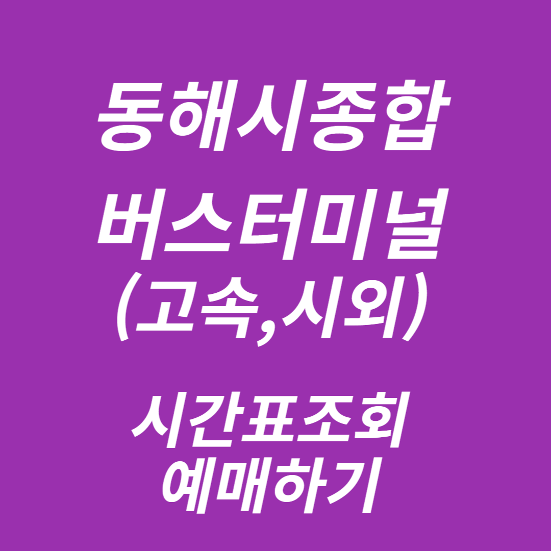 동해종합버스터미널 시간표조회, 예매