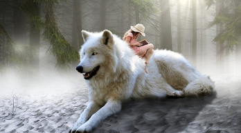 포토샵 단축키 설정, 변경하는 법 알아보기 1