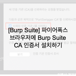 [Burp Suite] 파이어폭스 브라우저에 Burp Suite CA 인증서 설치하기(Install Burp Suite CA Certificate in FireFox Browser)