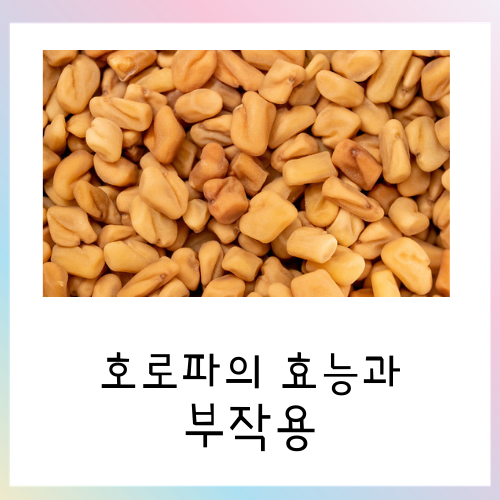  호로파의 효능과 부작용에 관해서