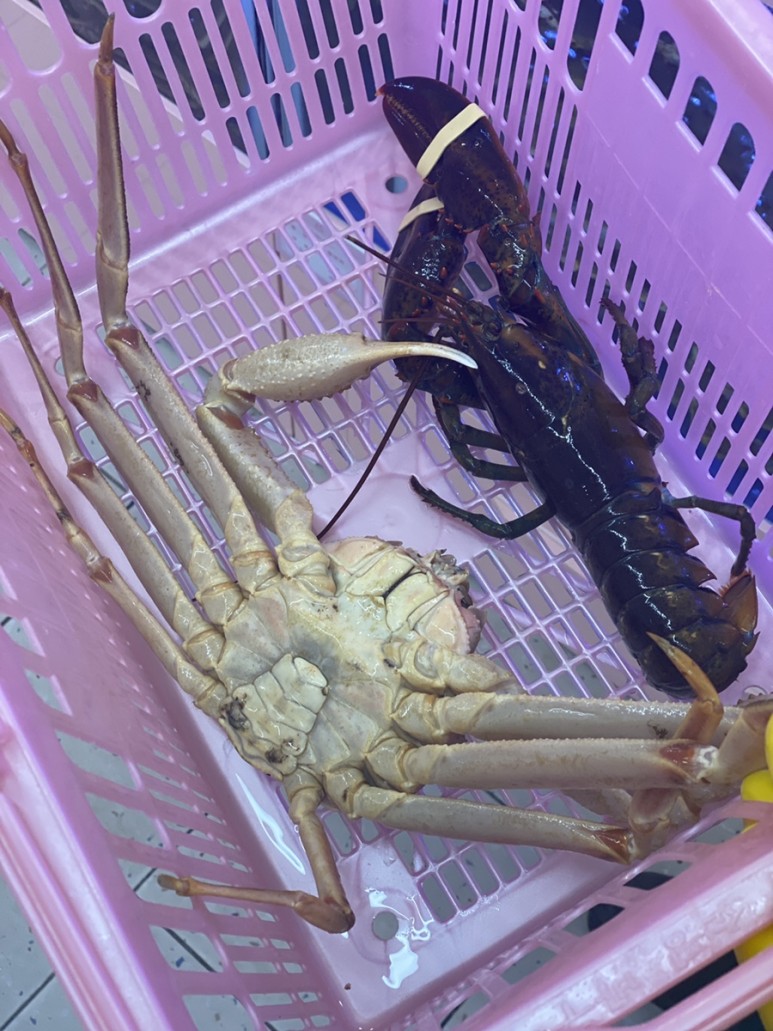 맛집 어서오시게 ft.대게손질법 홈파티음식배달 학동역 34