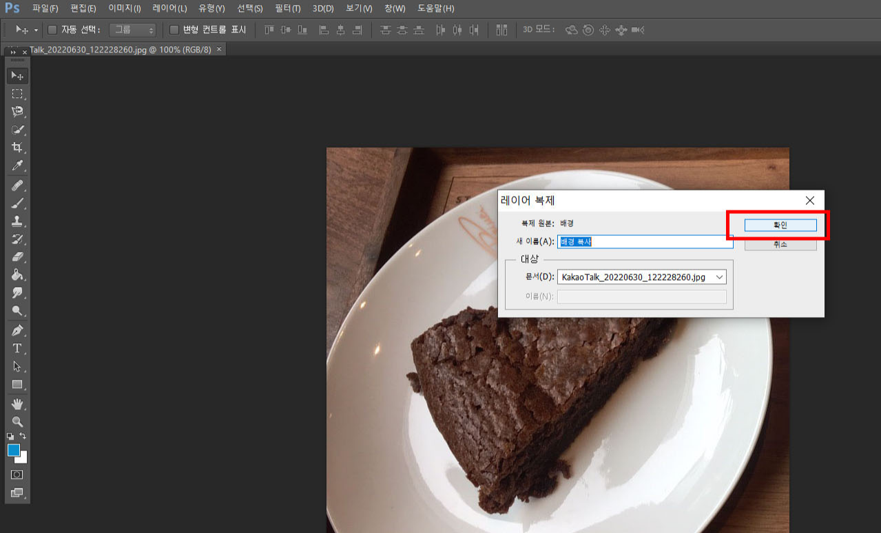레이어 복제 확인