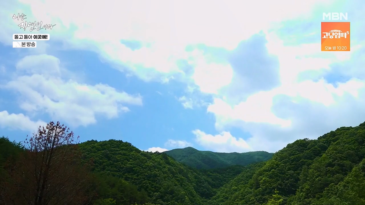나는 자연인이다.E614.240718p-NEXT.mp4_20240718_195144.966.jpg